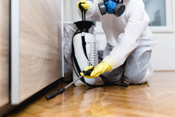 Best Pest Removal Services  in Chagrin Falls, OH