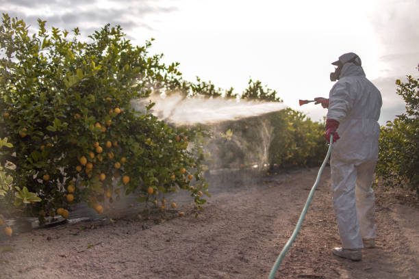 Best Exterminator Services  in Chagrin Falls, OH