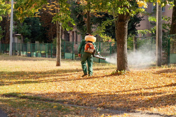 Best Flea Control Services  in Chagrin Falls, OH