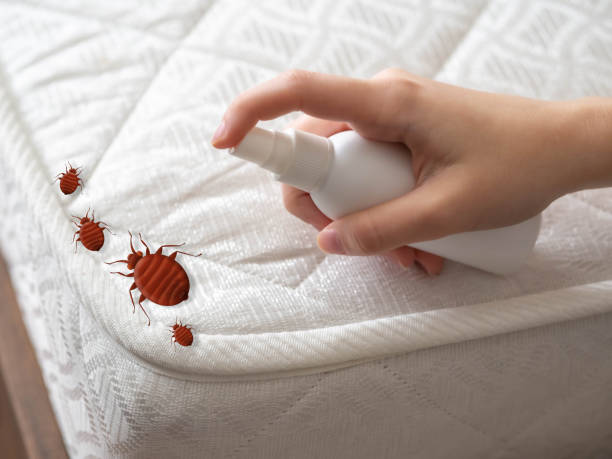 Chagrin Falls, OH Pest Control Company