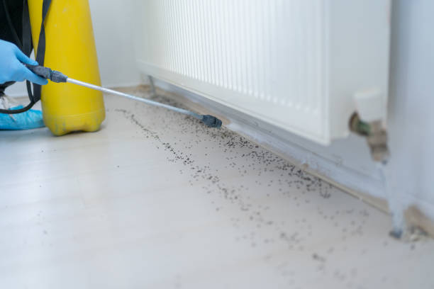 Best Bed Bug Extermination  in Chagrin Falls, OH