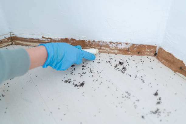 Pest Control Cost in Chagrin Falls, OH